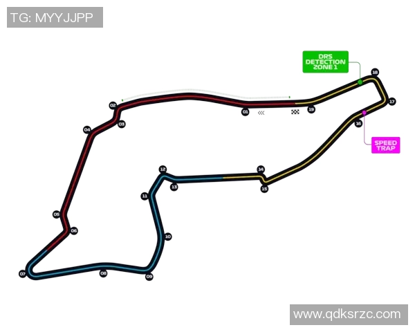 F1赛季车队协作与赛道表现关系